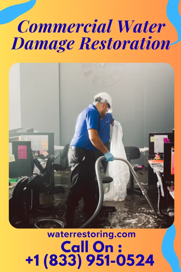 Commercial Water Damage Restoration in Onekama, MI