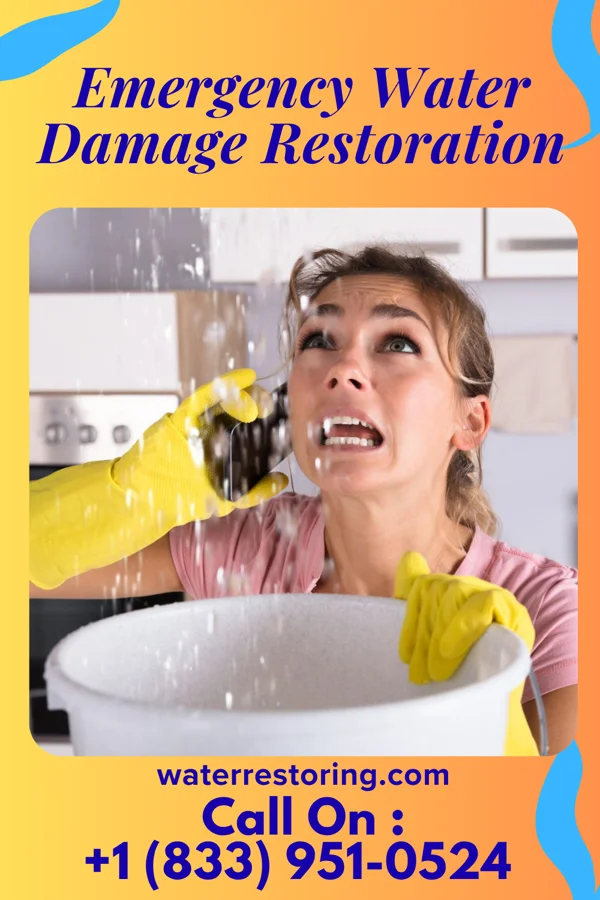 Emergency Water Damage Restoration in Onekama, MI