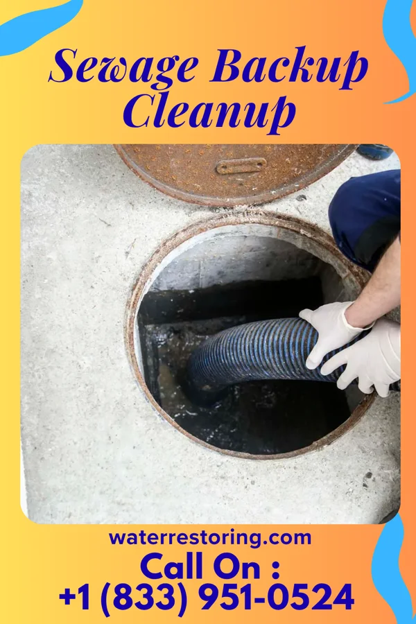 Sewage Backup Cleanup in Onekama, MI