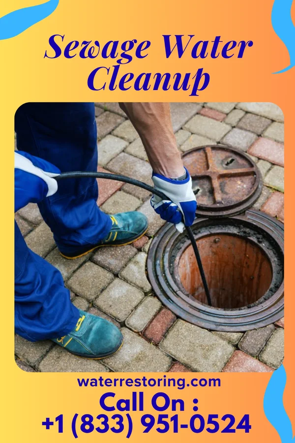 Sewage Water Cleanup in Onekama, MI